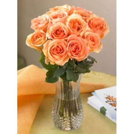 Eco Friendly - 12 Stems In Vase